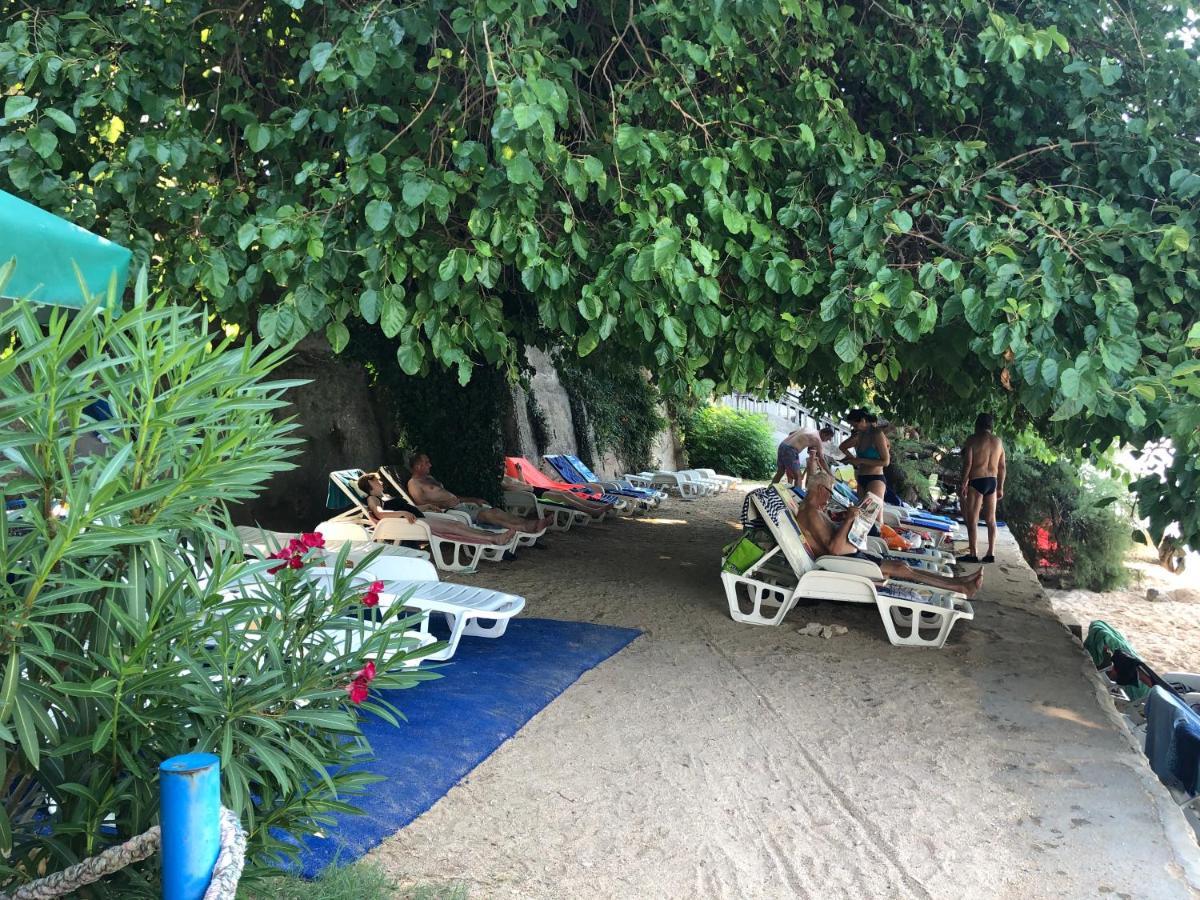 Danyja Apartments Sveti Filip i Jakov Exterior foto